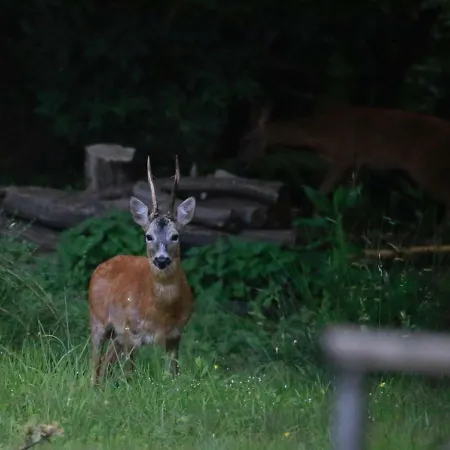 Διαμέρισμα Casa Vacanze Como Brunate
